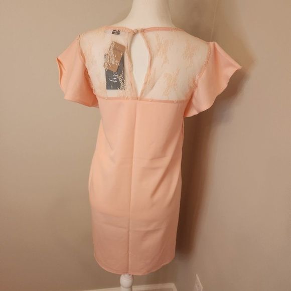 Peach Runway Paris Shift Dress - Picture 8 of 12